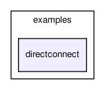 selforg/examples/directconnect/