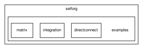 selforg/examples/